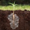 Hidrogel agrícola, ahorra hasta 85% de agua de riego