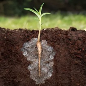 Hidrogel agrícola, ahorra hasta 85% de agua de riego