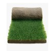 Palmeta de pasto Bermuda Híbrida en rollo