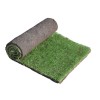 Palmeta de pasto Bermuda Jubilee en rollo