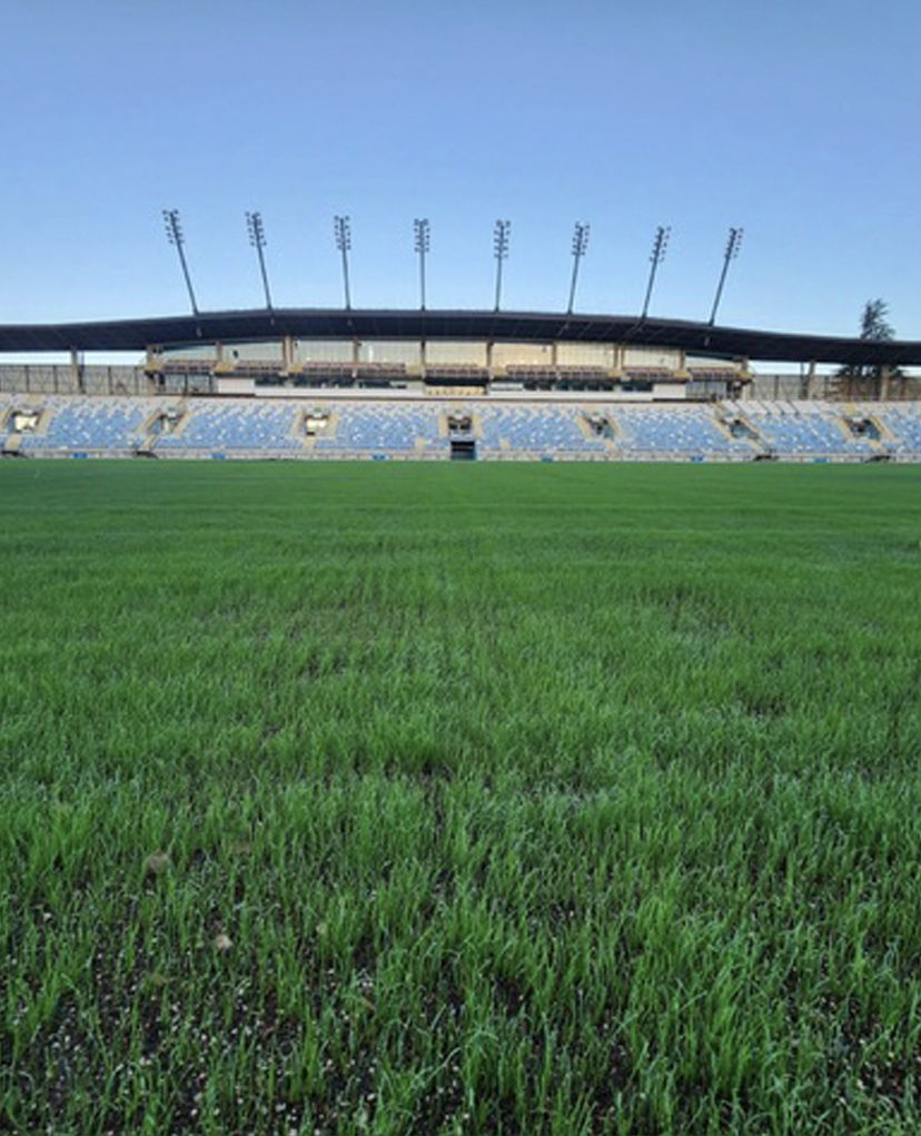 ESTADIO EL TENIENTE, CONSTRUCCION DE CARPETA DE PASTO
